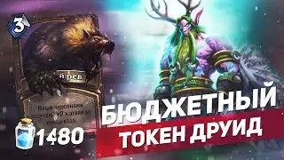 Бюджетный Токен Друид │ Hearthstone 
