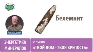 Белемнит. Защита дома. Александр Гук
