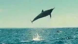 Водная Феерия