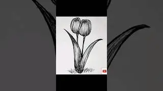 Tulips flower drawing #shorts #drawing