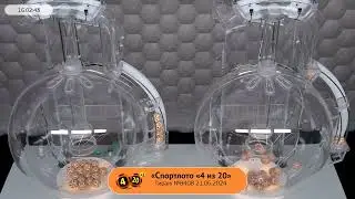 Столото представляет | Лотерея «Спортлото «4 из 20». Тираж №8408  от 21.06.2024 г.