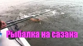 Рыбалка на Каме 25.08.2022 г. Ловля сазана с лодки.