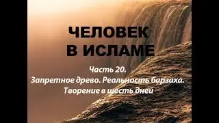 Запретное древо. Реальность барзаха. Творение в шесть дней (Человек в Исламе - часть 20)