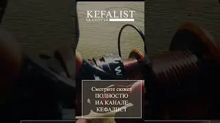 Катушка #Weida = (KAIDA) HW-50A, #Обзор с разбором+Т/О.