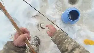 День  Амнистий...хорошее  дело.