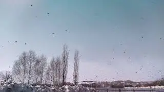 3 апреля 2022 г.