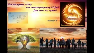 Как построить схему или генограмму РОДА? Для чего это нужно? Родология. выпуск 3