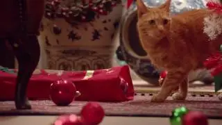 Аdvertising  Реклама Dreamies   Новогодняя