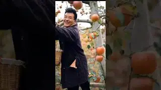 Did You Eat Apple Today? 