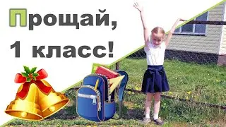 ПРОЩАЙ, 1 КЛАСС. КОНЦЕРТ ♥ Жара. Жуки. Опалубка