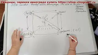 Агрономические посиделки у Пузенко(лекция)- почва, катионы, анионы, ППК кислых и щелочных почв, золь