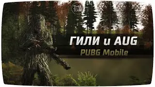 PUBG Mobile Гили и AUG