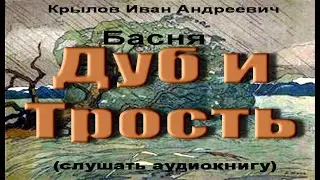 Дуб и Трость 