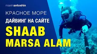 Diving on the Saab Marsa Alam dive-site
