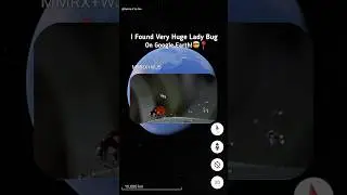 I Found Very Huge Lady Bug 🐞 Sculpture On Google Earth and Google Maps! 🗺️📍