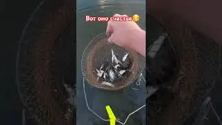 Рыбалка на ельца