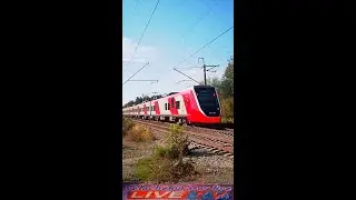 Финист ясный сокол HIGH-SPEED ELECTRIC TRAIN