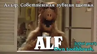 Альф. Власна зубна щітка. Alf. Own toothbrush. (¿Qué pasa?). Альф. Собственная зубная щетка. #alf