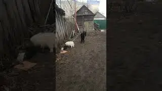 Эйсик стоит с выдержкой