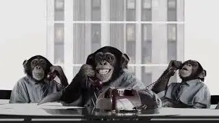 бизнєс мємы - Что За Бизнес Сука?
