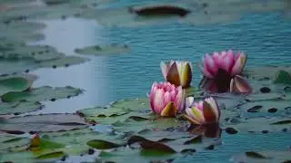 Мобилизация энергополей