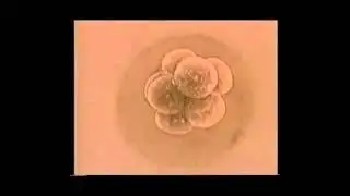 АзБука Древних Славян - КОД построения  Материии.