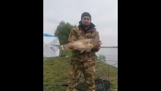 Рыбалка на толстолобика. Отдых на природе.