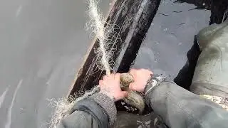 Весна .  Проверка  сетей.