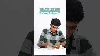 Potato vs Hydrogen peroxide || IE Experiment || Infinite Engineers