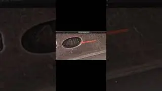 Признаки фальшивого антиквариата. 