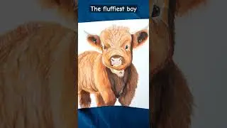 The fluffiest one yet #art #drawing #shorts #cow