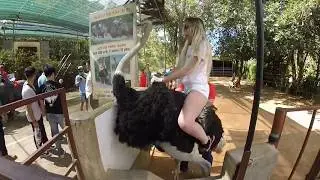 Вьетнам 2018. Далат. Водопад -PRENN.Супер День!