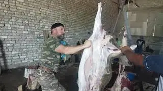Курбан байрам. Разделка барана от Ашаханова П.С.