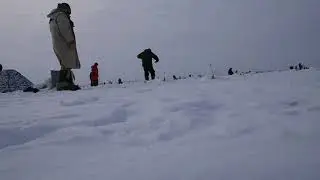 Ловля корюшки на южной дамбе Финского залива  10.03.2018.