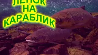ЛЕНОК НА КоРАБЛИК 2