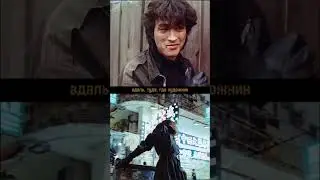 Виктор Цой - Зелёные волы (ai-cover Zivert)