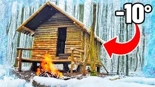 Building my Dream BUSHCRAFT SHELTER: 34 DAYS in the Wilderness