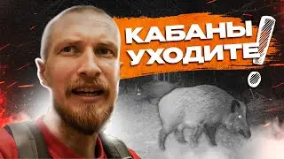 Бомжевал в лесу один без снаряжения. Ночью пришли кабаны.