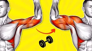 ➜ 8-min ➜ Arm Dumbbell Workout
