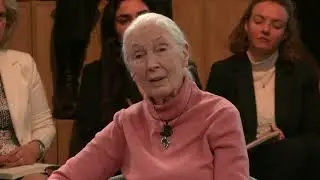 Jane Goodall - Climate Change Reality