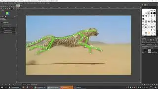 Пример расстановки точек контура. Анимация гепарда. GIMP