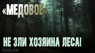 Страшные истории про лес. Медовое - В. Болдырев. Истории на ночь. Мистика. Ужасы про лес