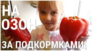 На ОЗОН за Подкормками для РАССАДЫ ПЕРЦА! Что КУПЛЮ я!
