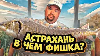 Астрахань - это не только арбузы и чёрная икра