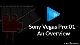 Installation of various codec into vegas