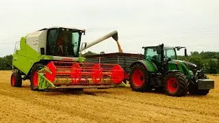 Żniwa pszenicy 2017 Claas avero 240 Fendt 720
