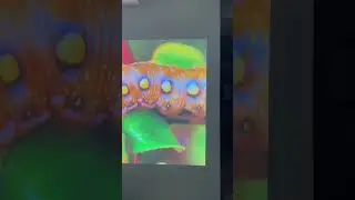 Лазерный Проектор Xiaomi Mijia Laser Projection TV 1S 4K обзор качества 