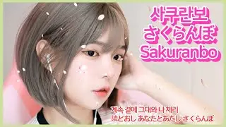 [팬메이드 영상] 오오츠카 아이 - 사쿠란보 리액션 모음