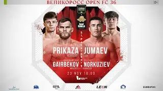 Турнир по смешанным единоборствам "Великоросс OPEN FC 36". 23 ноября. СПб. Арена МТС Live Холл