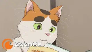 Tonari no Yokai-san | AVANCE